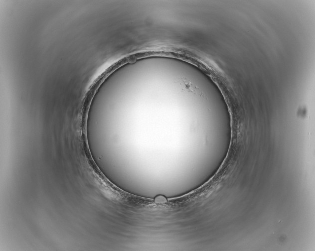 X0000093571216200710291033