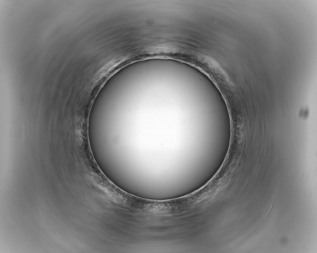 X0000093571217200710291033