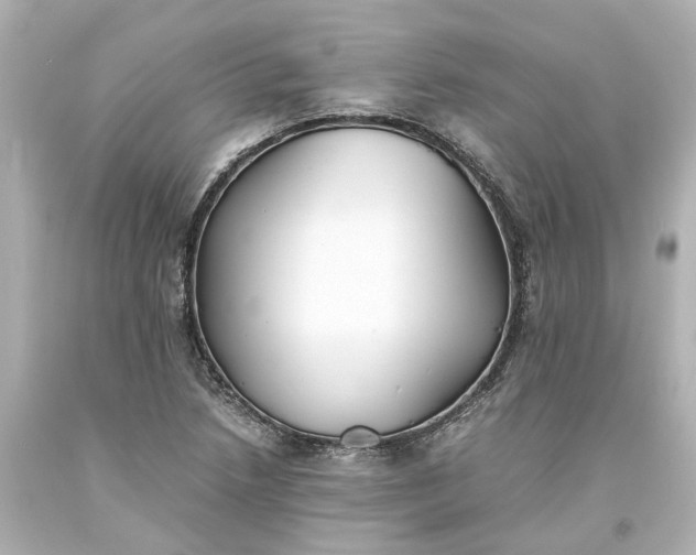 X0000093571218200710291033