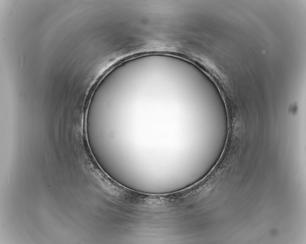 X0000093571220200710291033