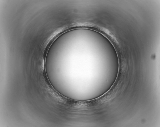 X0000093571221200710291033