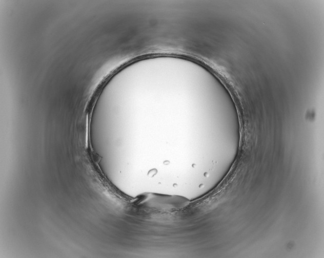 X0000093571223200710291033