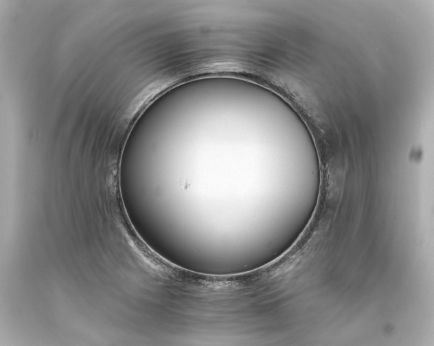 X0000093571225200710291033