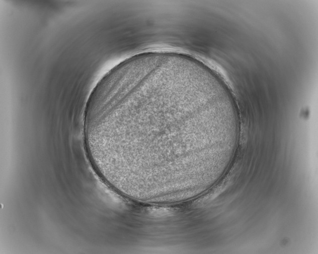 X0000093571231200710291033