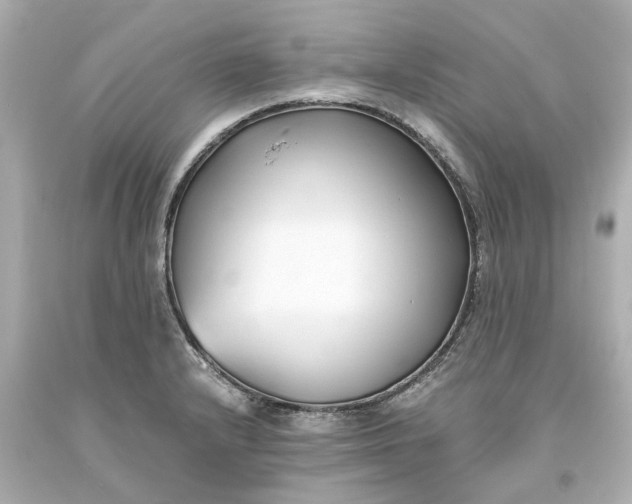 X0000093571232200710291033