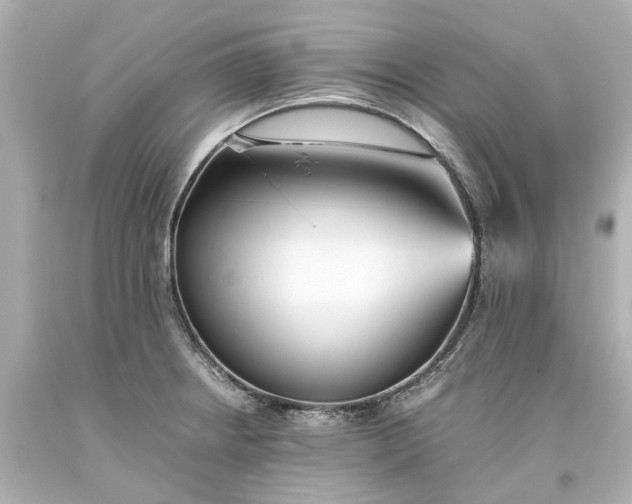 X0000093571234200710291033