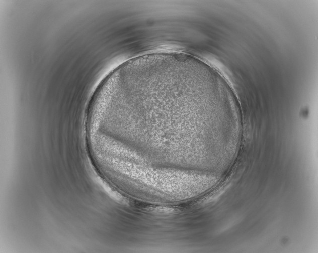 X0000093571235200710291033