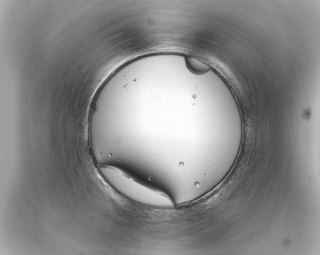 X0000093571236200710291033