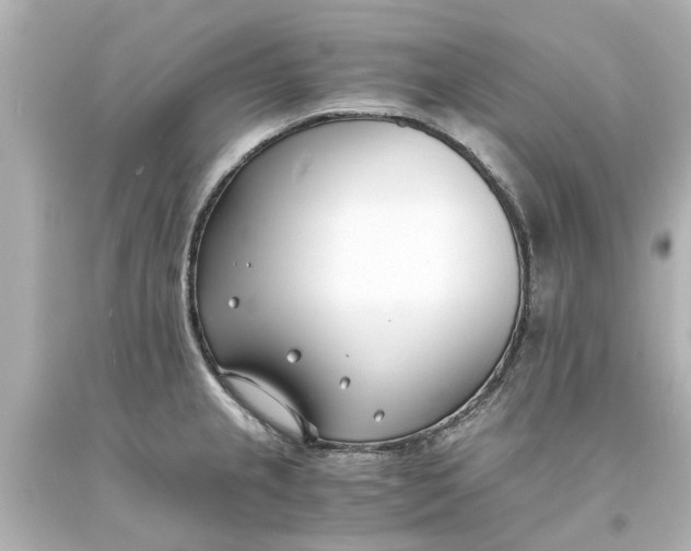 X0000093571237200710291033