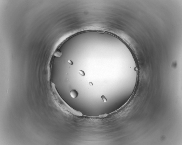 X0000093571238200710291033