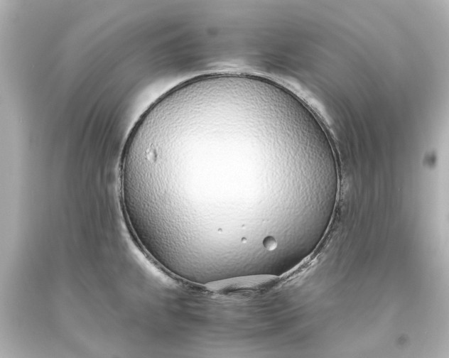 X0000093571239200710291033