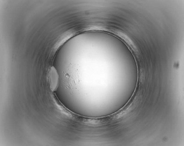 X0000093571241200710291033