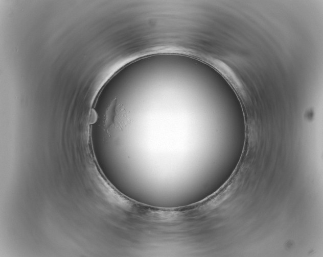 X0000093571244200710291033