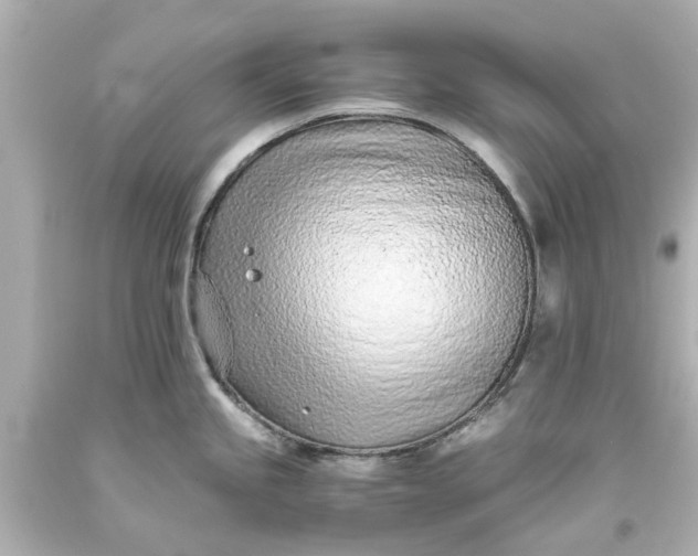 X0000093571245200710291033