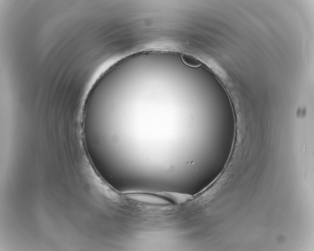 X0000093571248200710291033