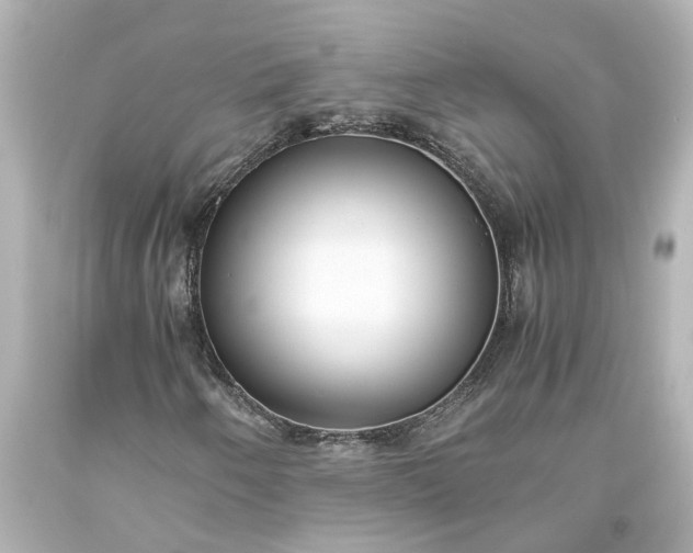 X0000093571250200710291033