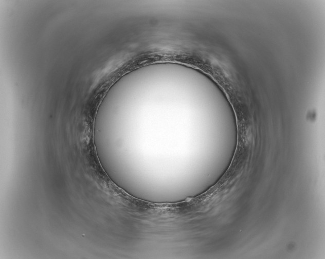 X0000093571253200710291033
