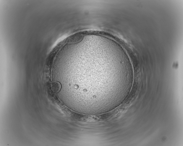 X0000093571255200710291033