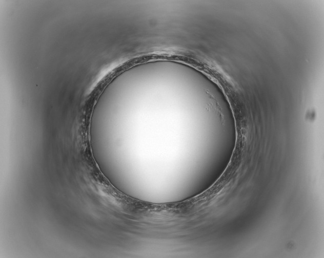 X0000093571256200710291033