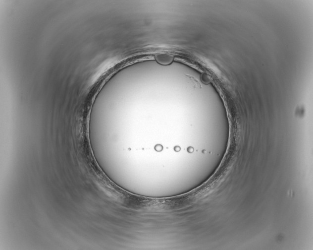 X0000093571259200710291033