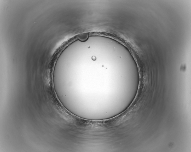 X0000093571262200710291033