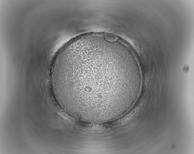 X0000093571263200710291033