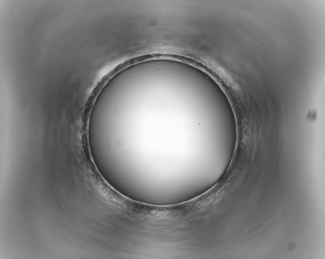 X0000093571264200710291033