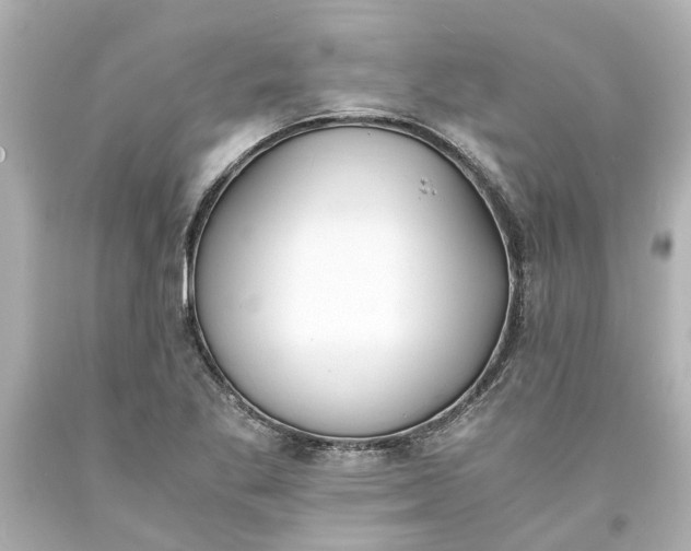 X0000093571269200710291032