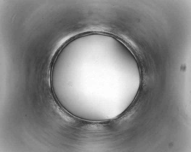 X0000093571272200710291032