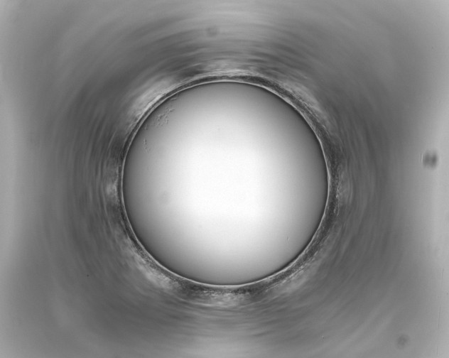 X0000093571273200710291032