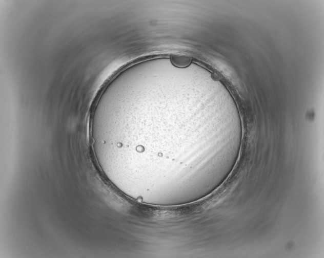 X0000093571275200710291032