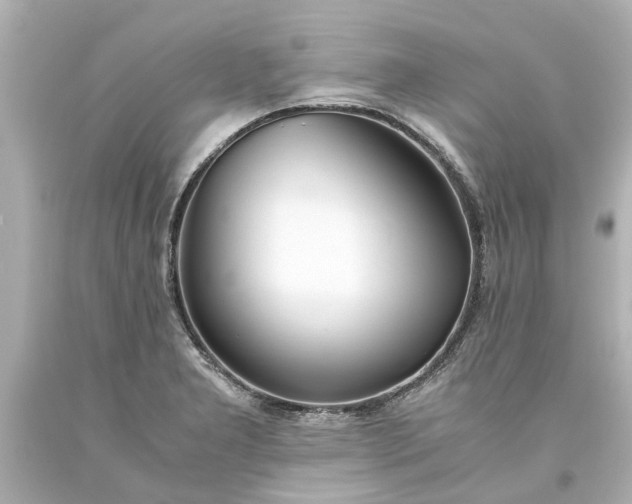 X0000093571277200710291032