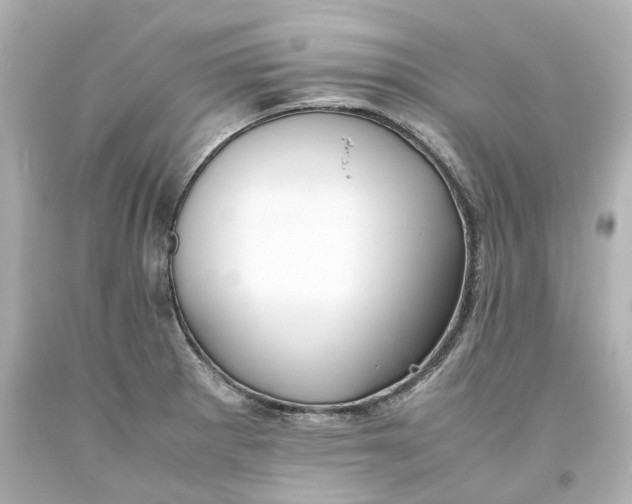 X0000093571281200710291032
