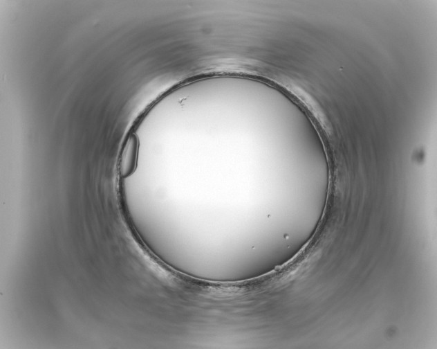 X0000093571285200710291032