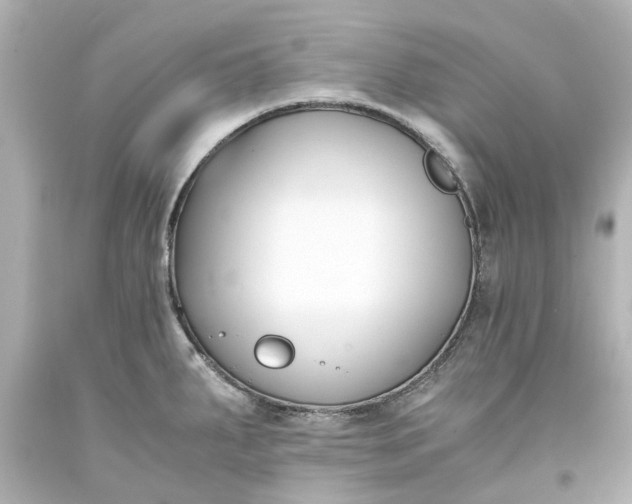 X0000093571287200710291032