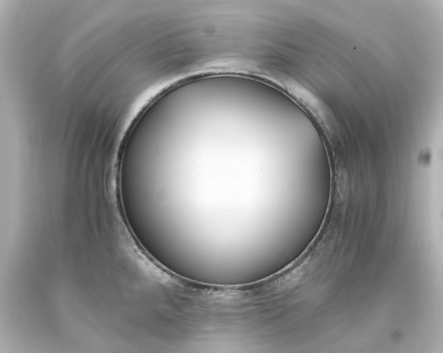 X0000093571288200710291032