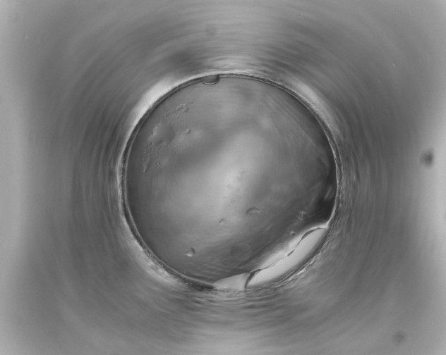 X0000093571291200710291032