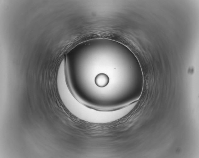 X0000093571298200710291031