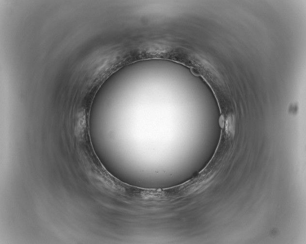 X0000093571299200710291031