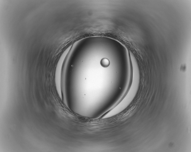 X0000093571300200710291031