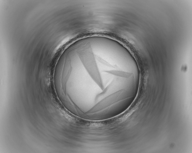 X0000093571306200710291032