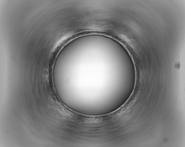 X0000093571307200710291032