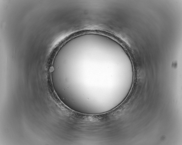 X0000093571311200710291032