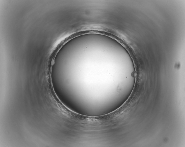 X0000093571312200710291032