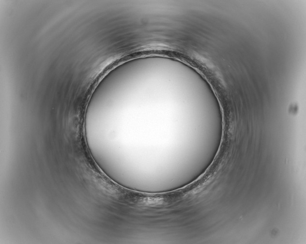X0000093571313200710291032