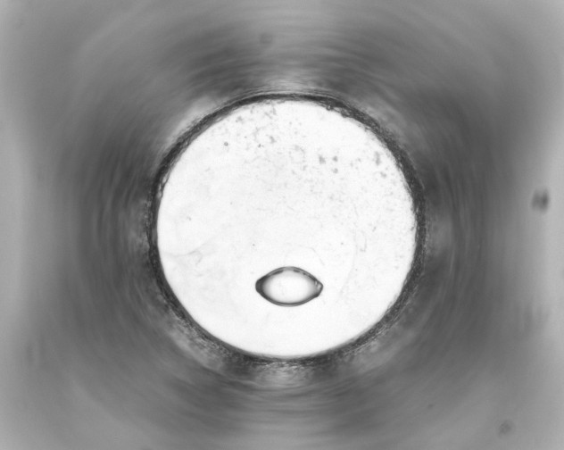 X0000093571314200710291032