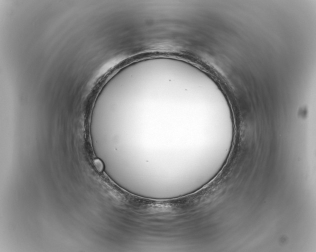 X0000093571315200710291032