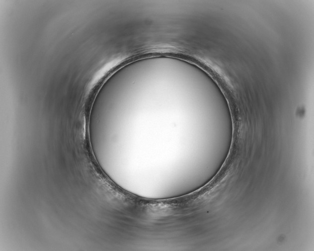 X0000093571317200710291032