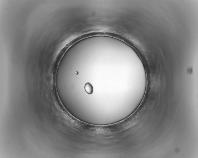 X0000093571318200710291032
