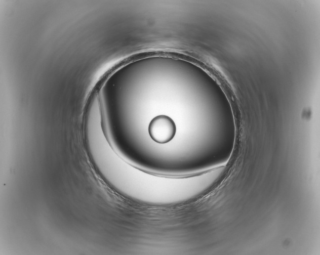 X0000093571320200710291032